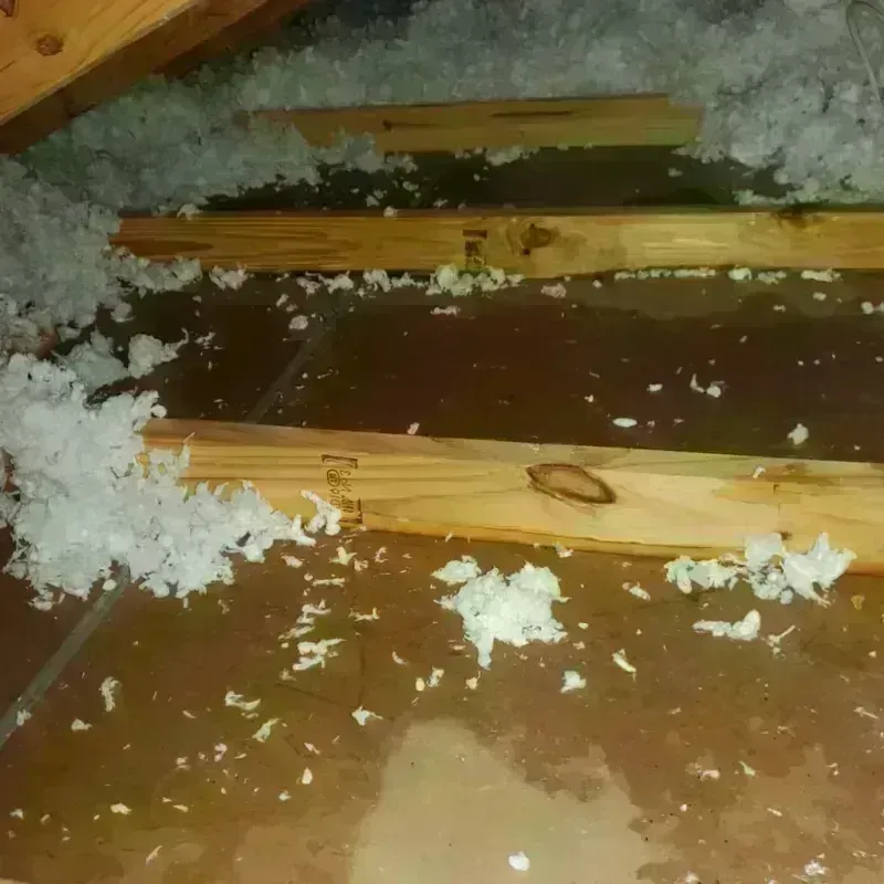 Attic Water Damage in New Sharon, IA